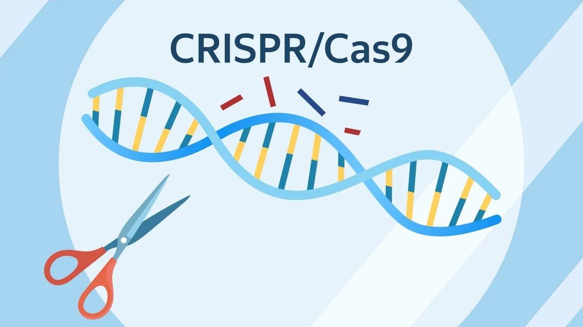 Изображение статьи 3