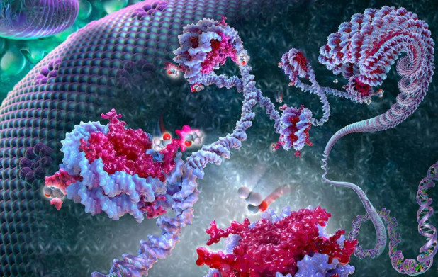 Изображение статьи 3