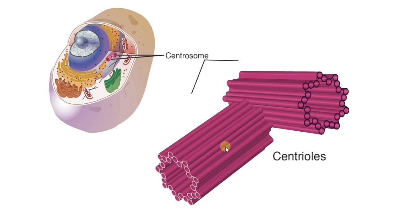 Изображение статьи 3