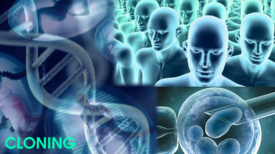 Изображение статьи 3