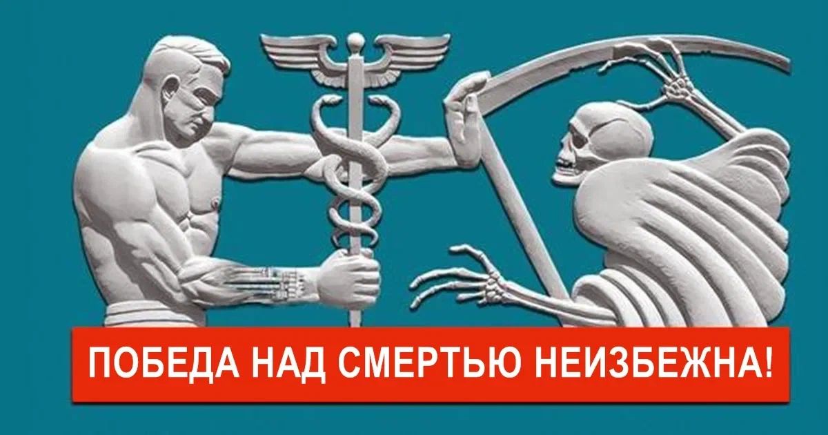 Изображение статьи 3