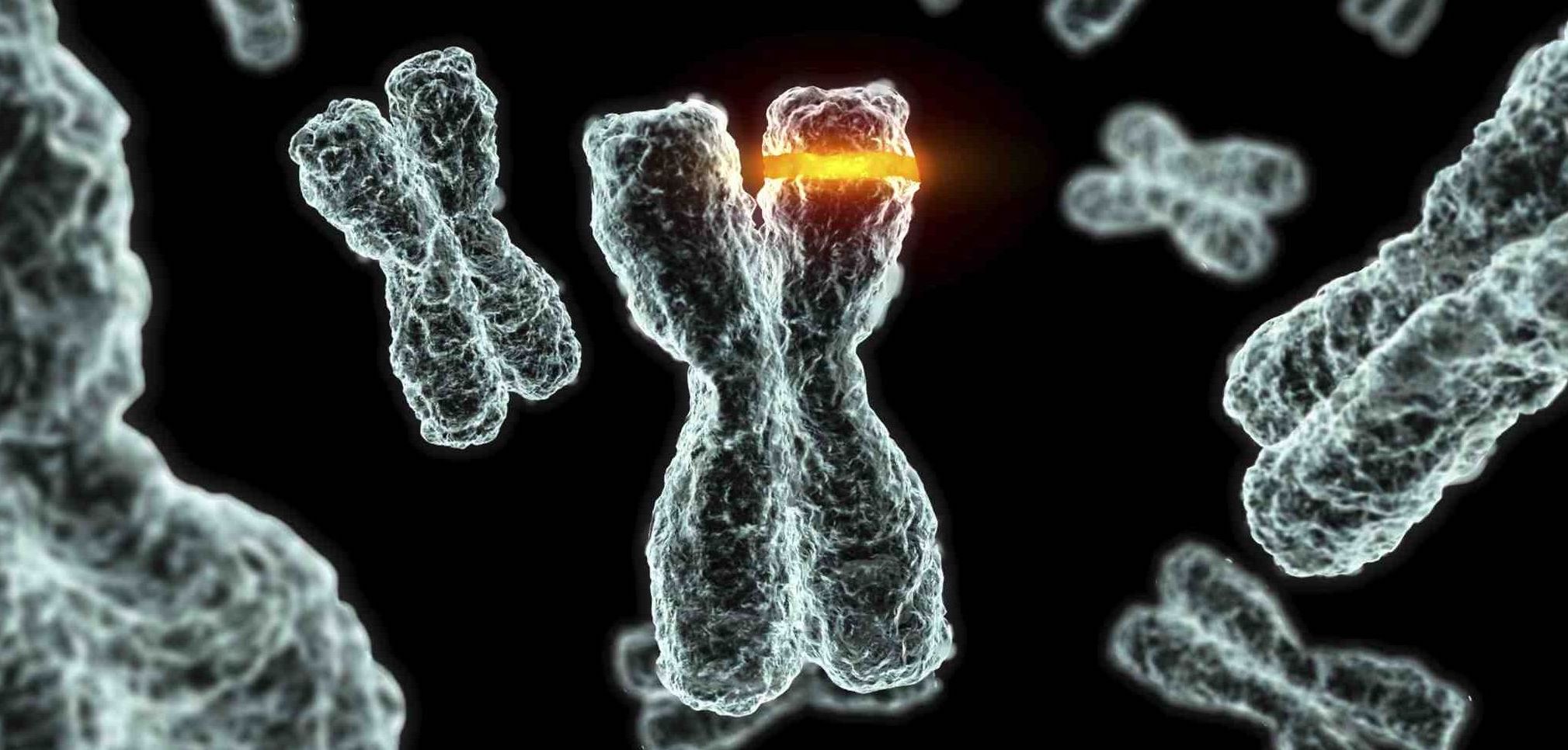 Изображение статьи 3