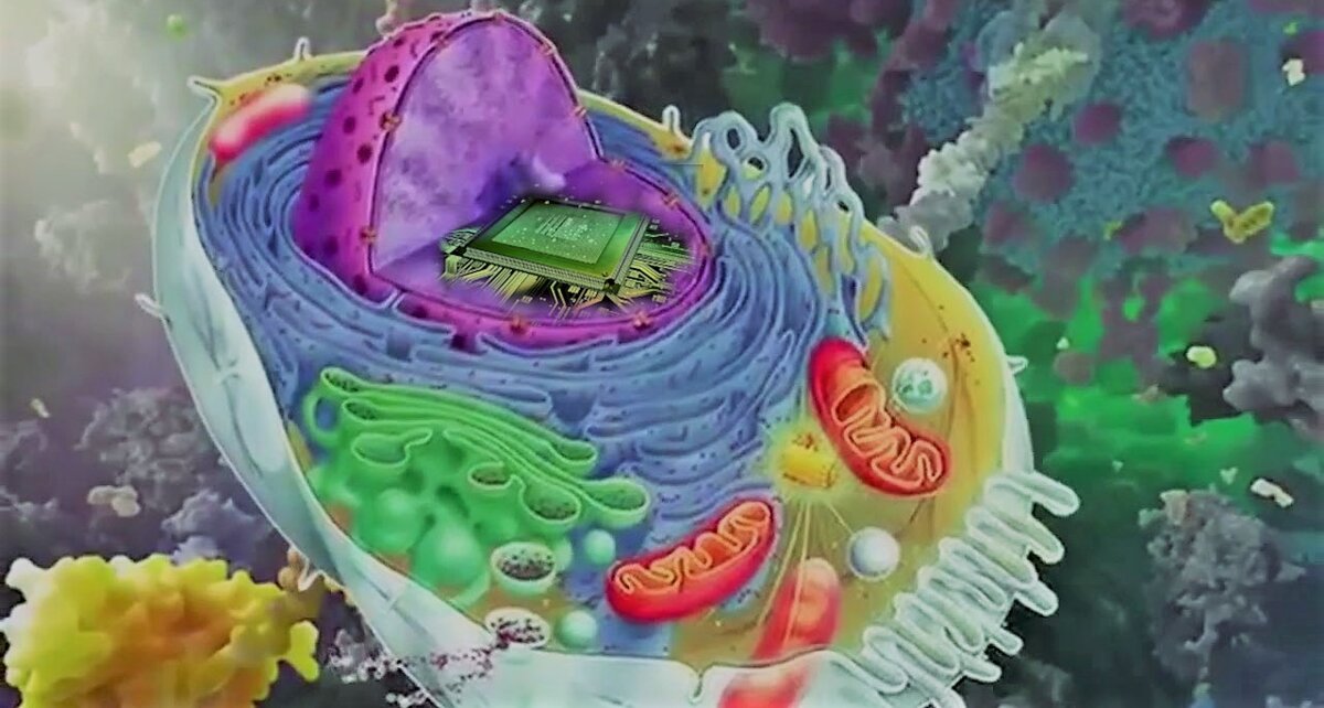 Изображение статьи 3