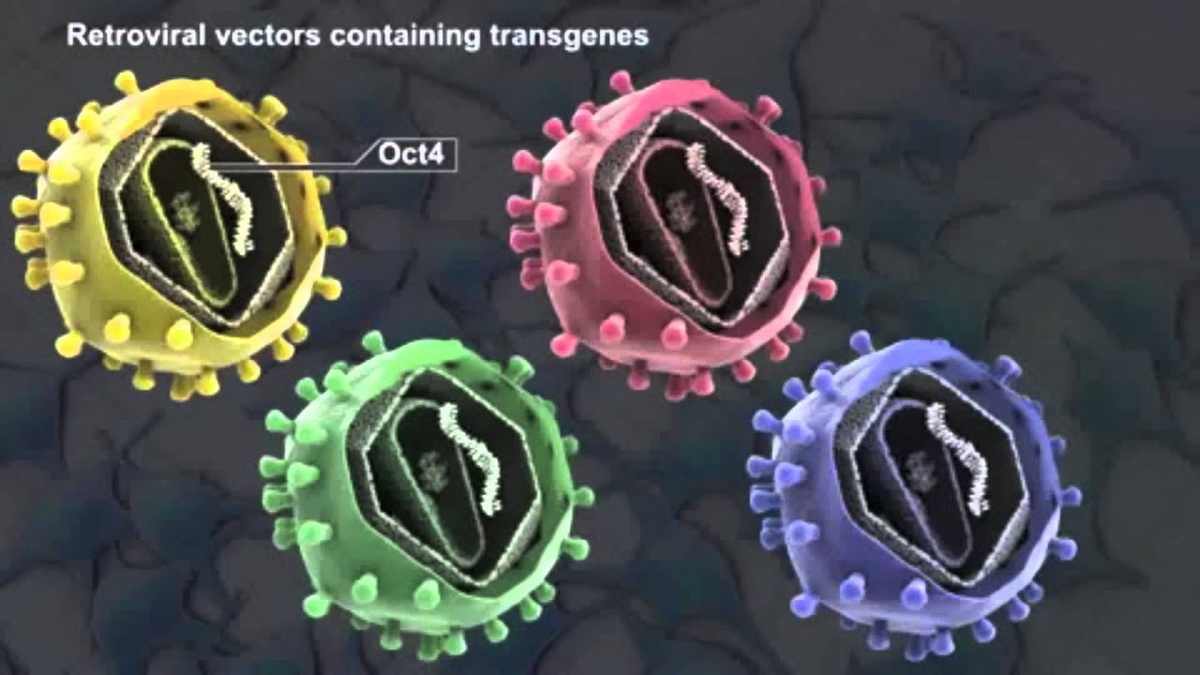 Изображение статьи 3